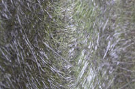 Nant Y Pandy fibreglass roof work